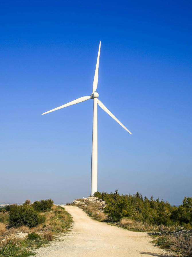 pexels-elena-zhuravleva-647531-2017354