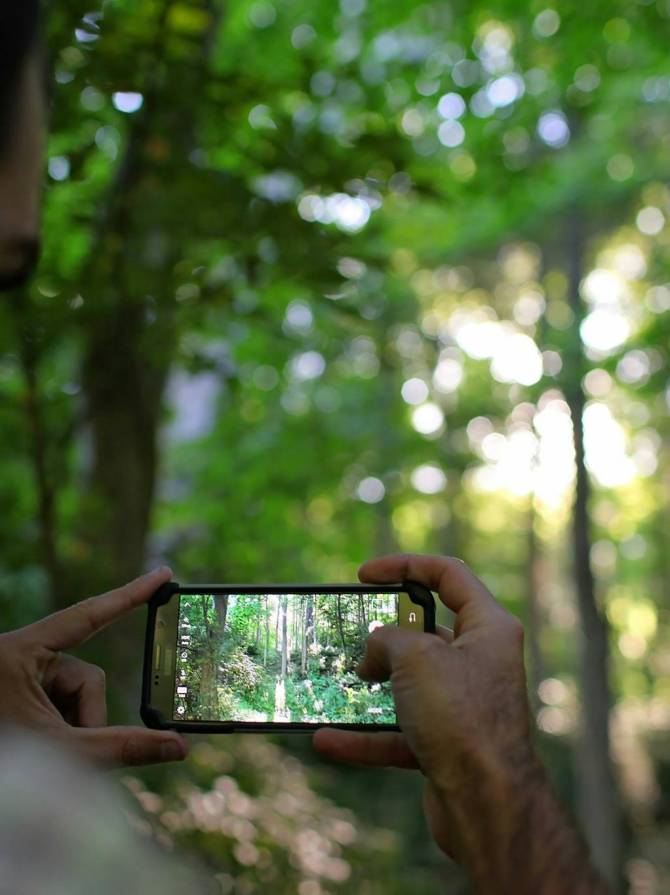 pexels-leah-newhouse-50725-667211