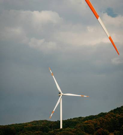 pexels-minsubreitenstein-11932182