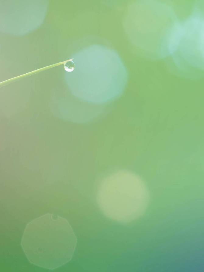 pexels-neosiam-581669