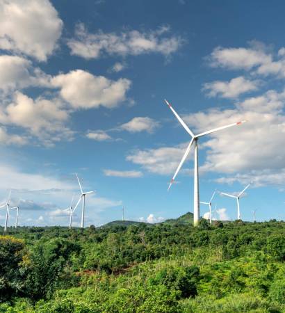 pexels-quang-nguyen-vinh-222549-14024425