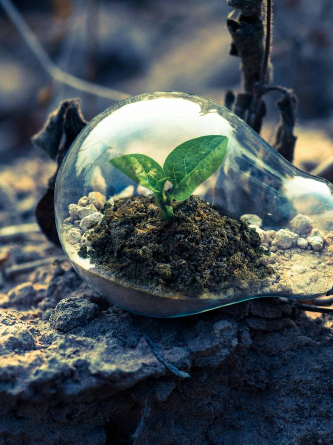 pexels-singkham-178541-1108572 (1)