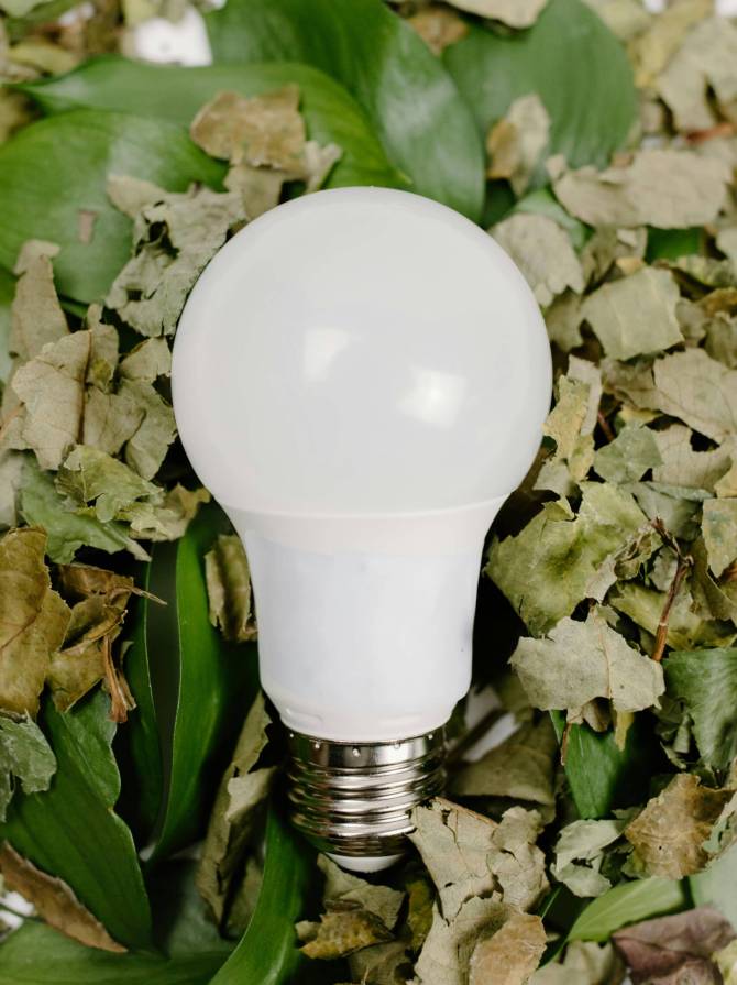 pexels-tara-winstead-7111156 (1)