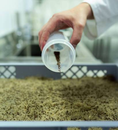 pexels-thisisengineering-3912512